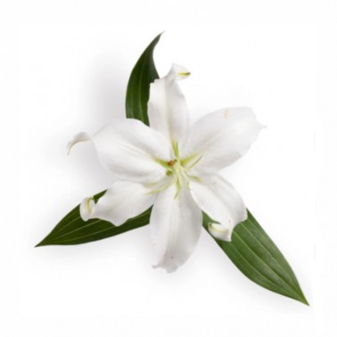 APIVITA Sérum Contorno Ojos 5-ACTION, 15 ml.