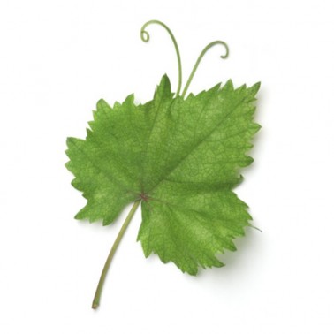 APIVITA Beevine Aceite facial Firmeza y Reparación, 30 ml.