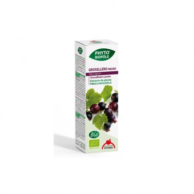 Phyto-Bipole BIO Grosellero Negro Intersa