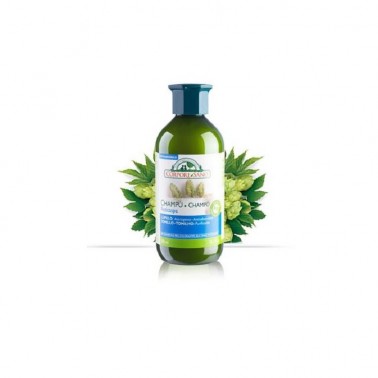 Champú Lúpulo y Tomillo Anticaspa BIO Corpore Sano, 300 ml.